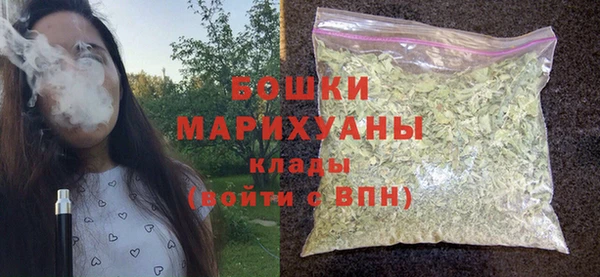 PSILOCYBIN Богданович