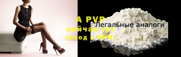таблы Богородицк
