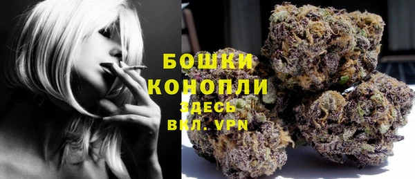Альфа ПВП Богородск