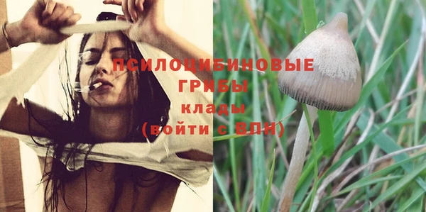 таблы Богородицк