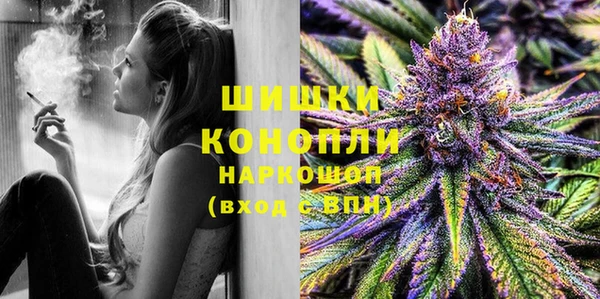 PSILOCYBIN Богданович