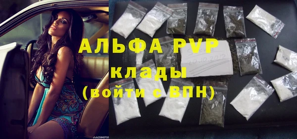 PSILOCYBIN Богданович