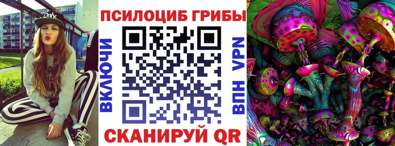 Галлюциногенные грибы GOLDEN TEACHER  Мценск 